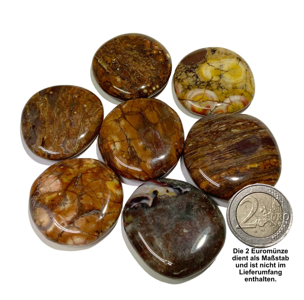 Sammelbild von 7 Birdeye Rhyolith Scheibensteinen mit einer 2EORO Münze als Größenvergleich