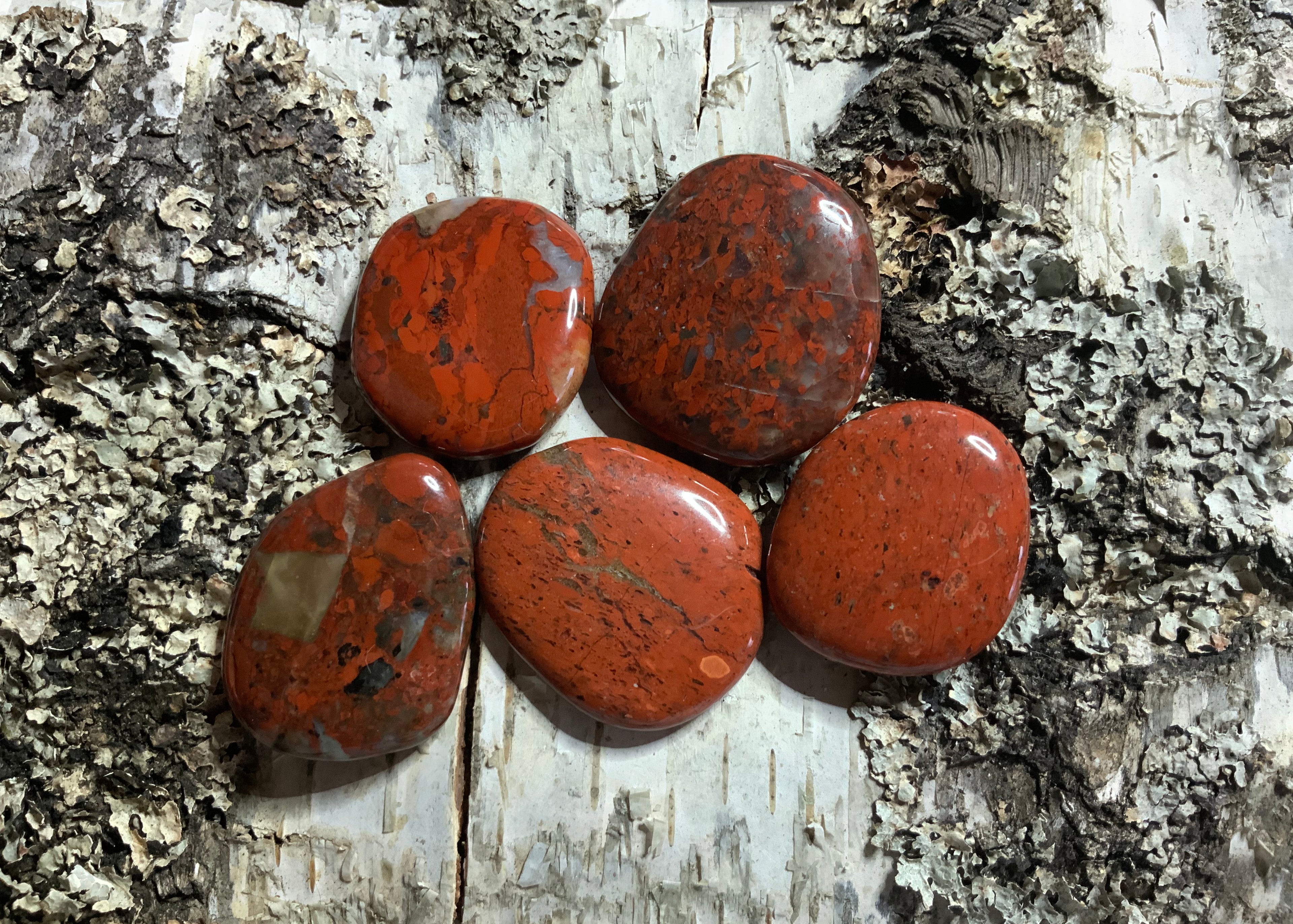 Sammelbild mit 5 Broken Jasper Scheibensteinen auf Birkenrinde
