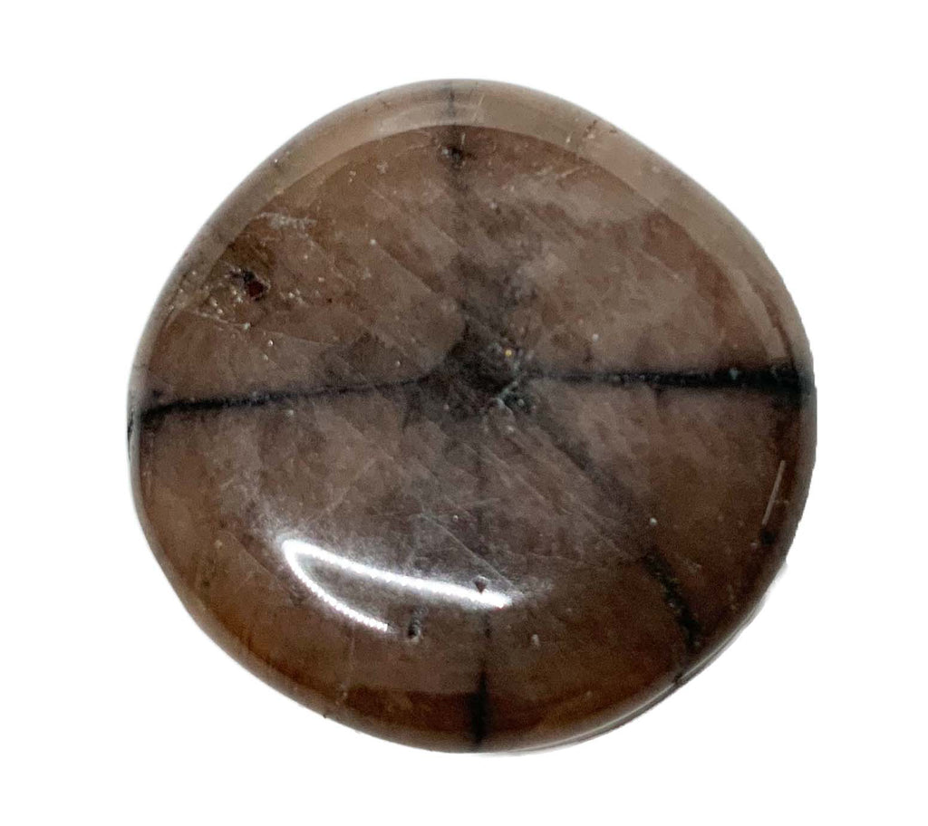 Chiastolith Scheibenstein