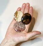 3 Scheibensteine zum Thema Erdung liegen auf der Innenfläche einer Hand: Landschaftsjaspis, Leopardenjaspis, versteinertes Holz