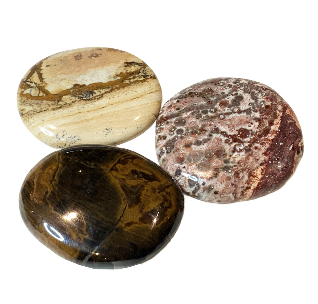 Großaufnahme von 3 Scheibensteinen: Leopardenjaspis, Landschaftsjaspis und versteinertes Holz. 
