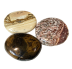 Großaufnahme von 3 Scheibensteinen: Leopardenjaspis, Landschaftsjaspis und versteinertes Holz. 