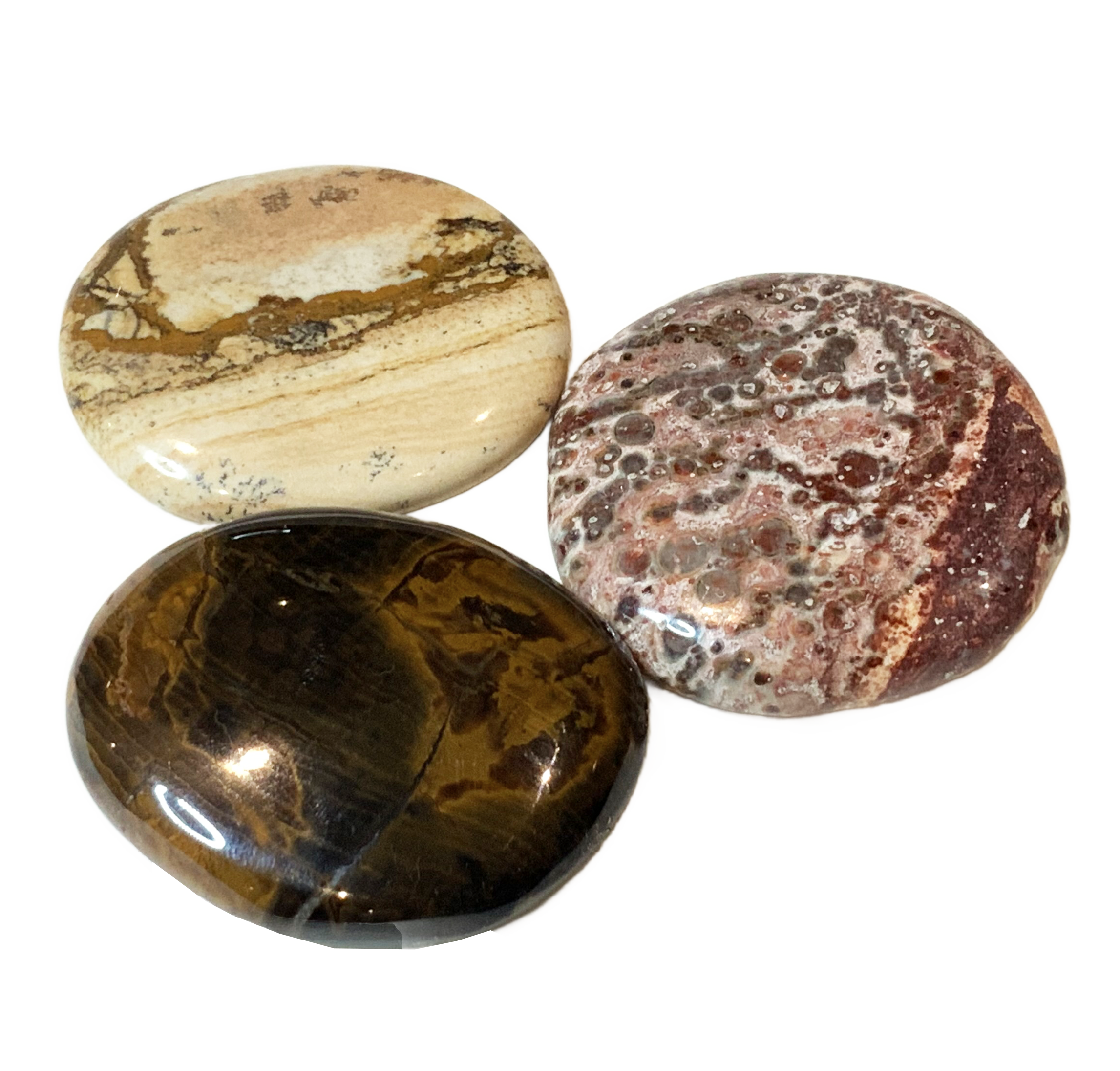 Großaufnahme von 3 Scheibensteinen: Leopardenjaspis, Landschaftsjaspis und versteinertes Holz. 